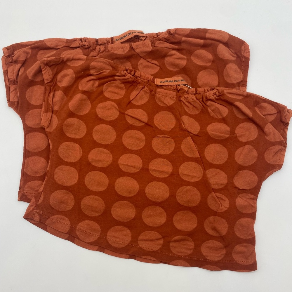 Album Di Famiglia Crop Top